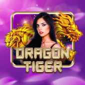 jilino1 live casino Dragon Tiger